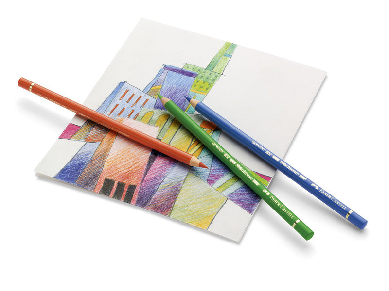Faber Castell Fc-110012 Kleurpotlood Polychromos 3,8Mm Kerndikte Etui À 12 Stuks Kleurpotloden Joy&Bloom