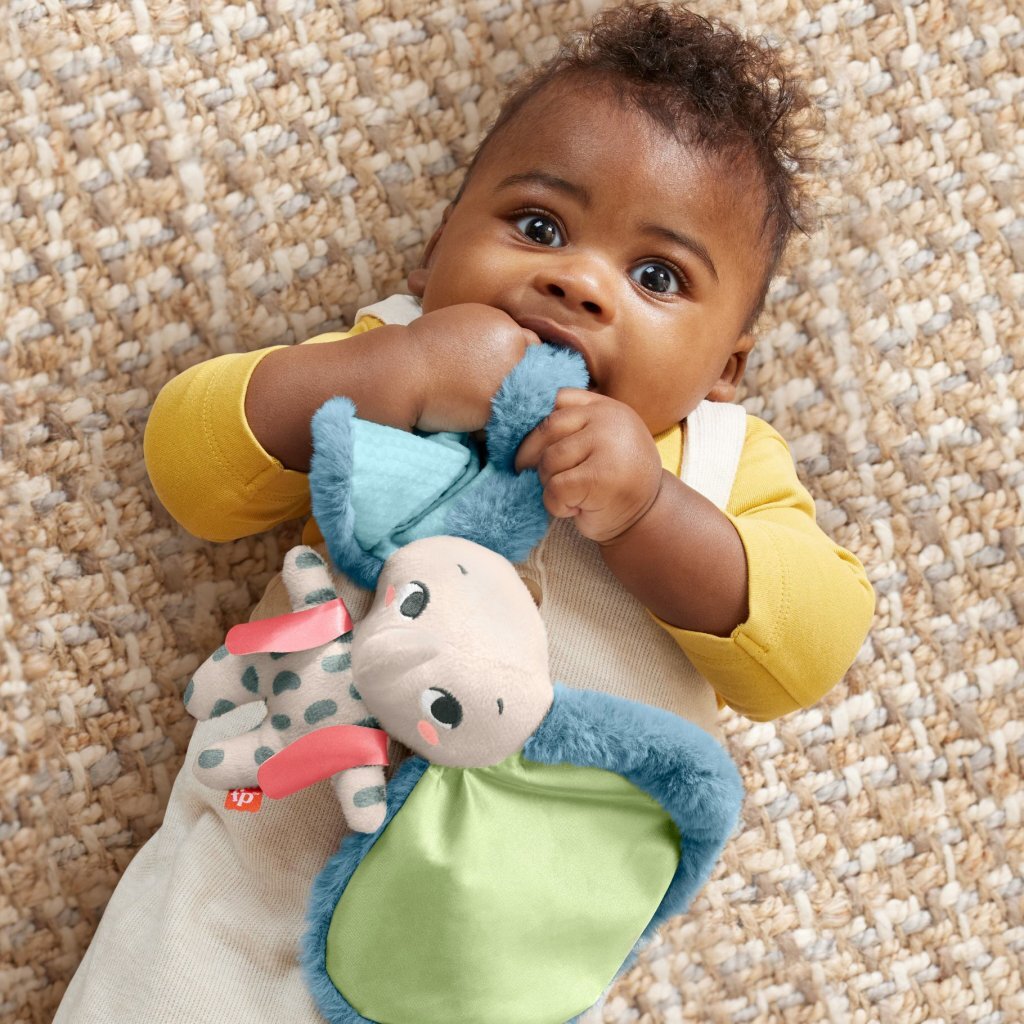 Fisher Price All Ears Lovey Knuffel Olifant Pluche Speelgoed Joy&Bloom