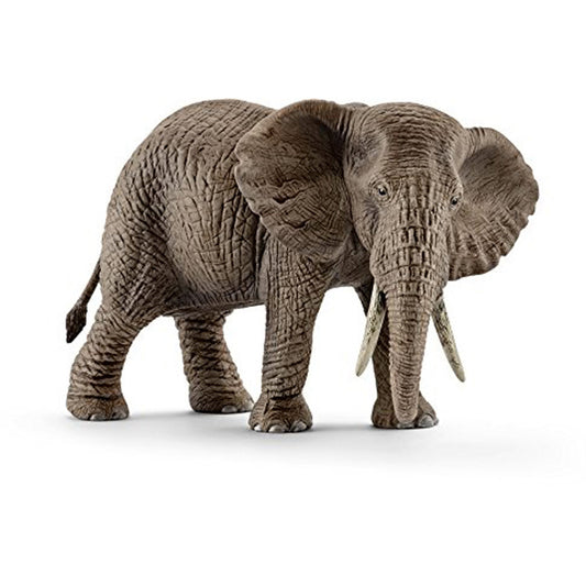 Schleich Afrikaans Olifant Vrouwtje Default Title Schleich Wilde Dieren Joy&Bloom