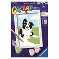 Ravensburger Creart Schilderen Op Nummer Border Collie Default Title Schilderen Joy&Bloom