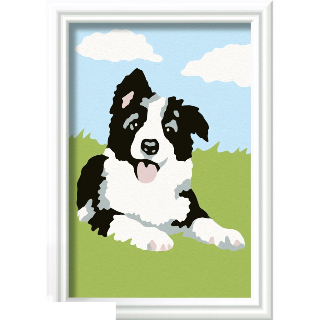 Ravensburger Creart Schilderen Op Nummer Border Collie Schilderen Joy&Bloom