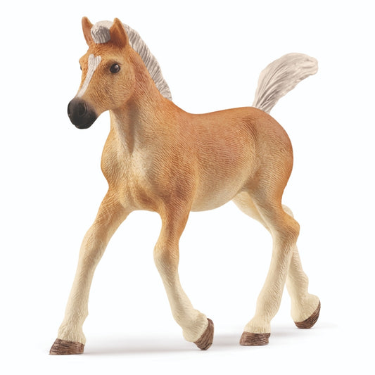 Schleich Haflinger Veulen Default Title Schleich Paarden Joy&Bloom