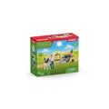Schleich Farm World Speelfigurenset Dierenartsbezoek Op De Boerderij Default Title Schleich Boerderij & Huisdieren Joy&Bloom