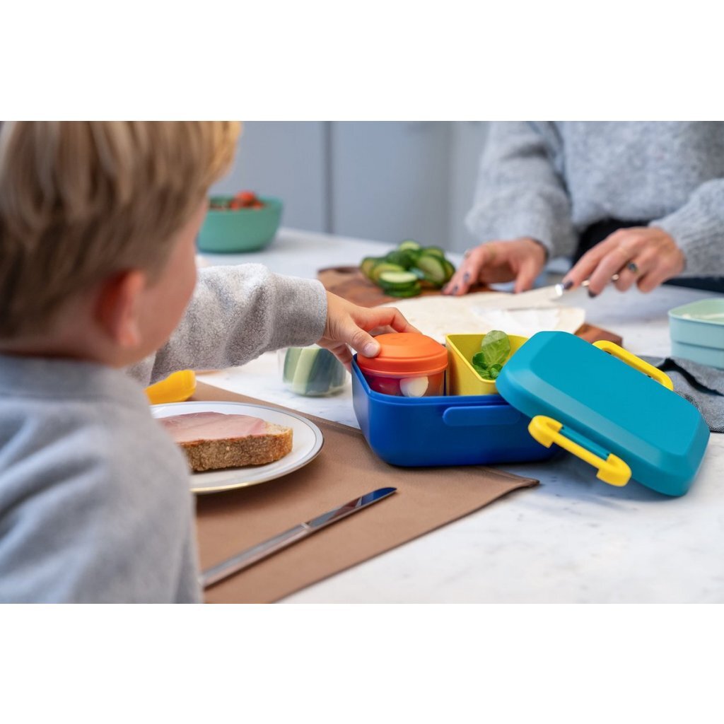 Amuse Rikko Midnight Lagoon Lunchbox Schoollunch Joy&Bloom