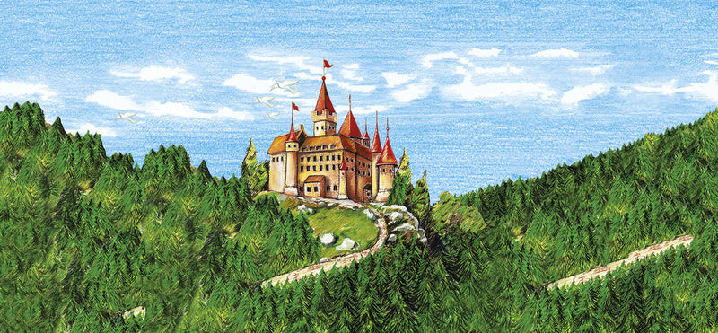Faber Castell Fc-120148 Kleurpotlood Faber-Castell Castle Zeskantig Karton Etui Met 48 Stuks Kleurpotloden Joy&Bloom
