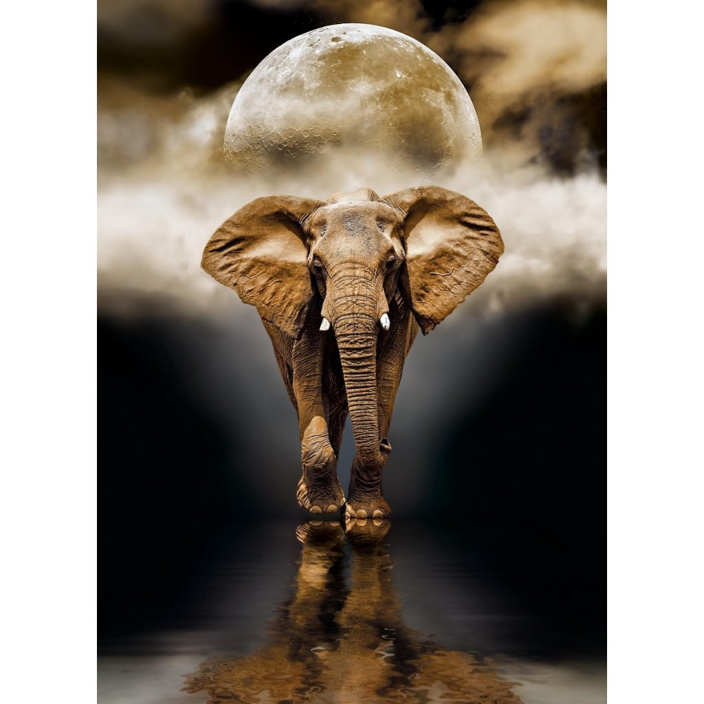 Clementoni High Quality Collection Puzzel 1000 Stukjes Verschillende Uitvoeringen Dieren Puzzels Joy&Bloom