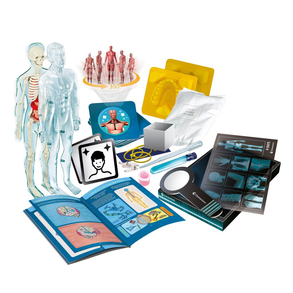 Clementoni Wetenschap Super Anatomie Wetenschap/Experimenten Joy&Bloom
