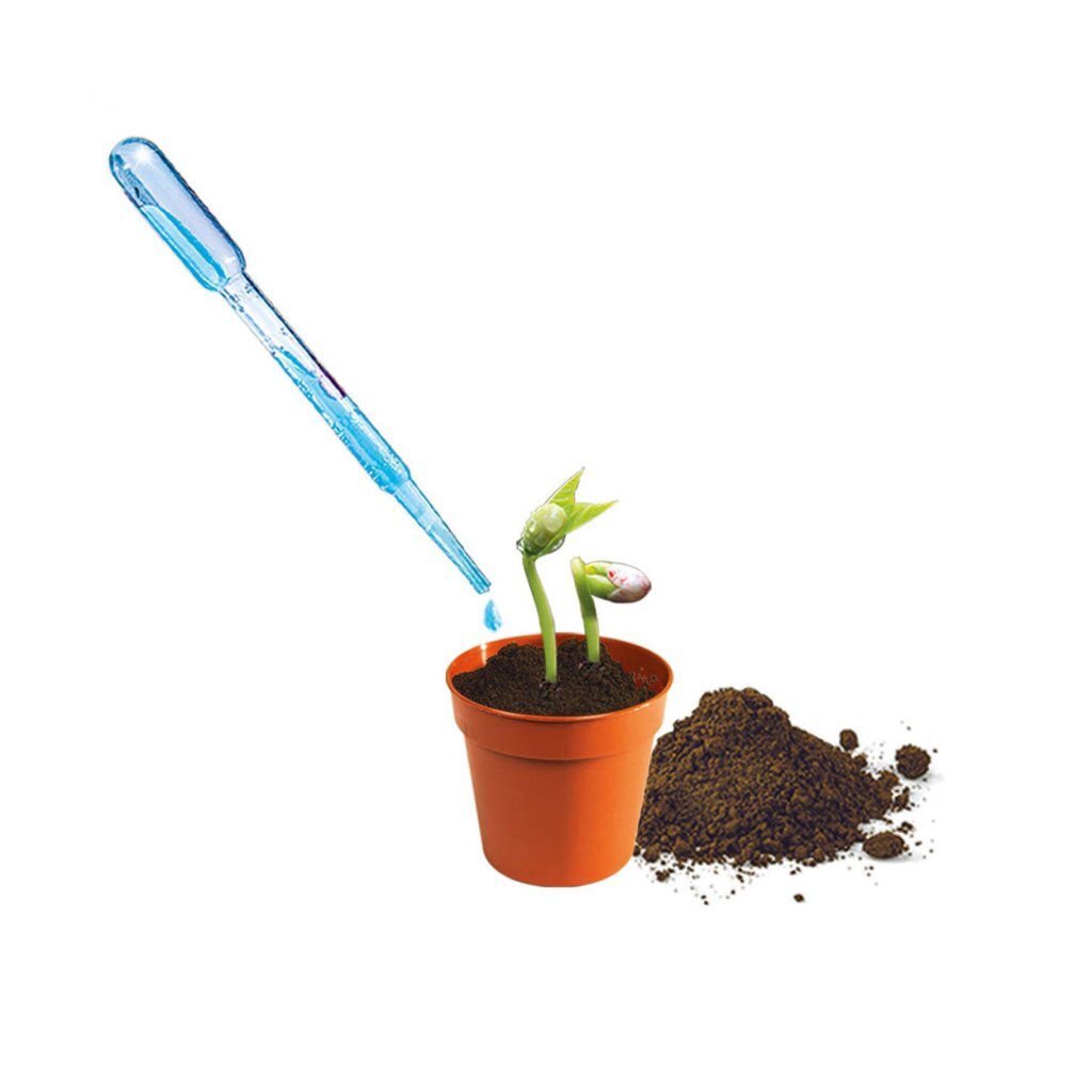 Clementoni Wetenschap Mini Kas Wetenschap/Experimenten Joy&Bloom