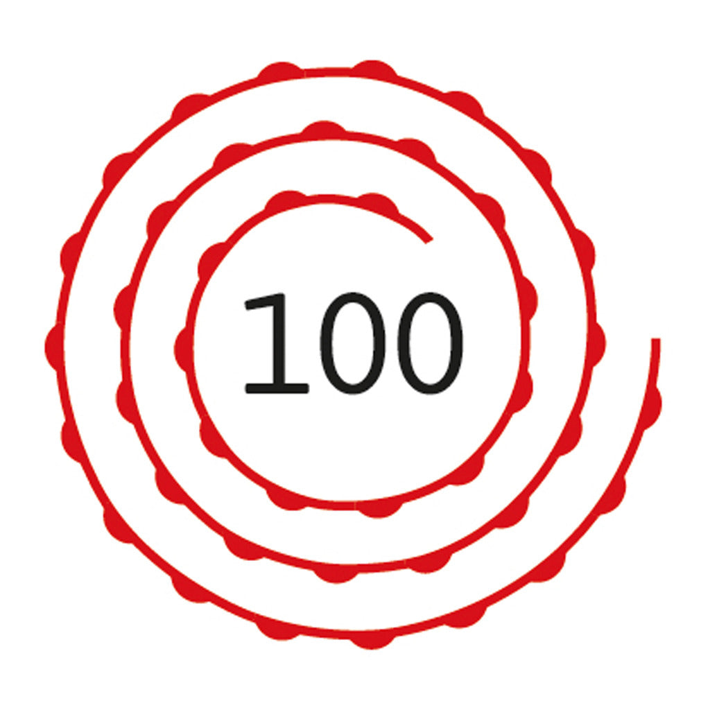 Basic Pistool 100 Schots Geweer/Pistool Joy&Bloom