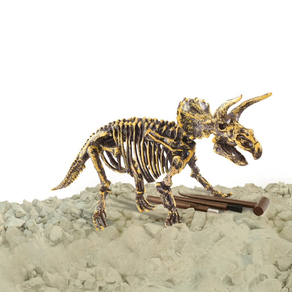 Dinobase Dino 3D Triceratops Skelet Dieren Joy&Bloom