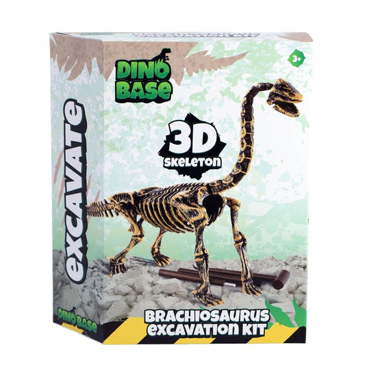 Dinobase Dino 3D Brachiosaurus Skelet Default Title Dieren Joy&Bloom