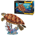 Cubic Fun National Geographic 3D Puzzel Zeeschildpad 31 Stukjes Default Title 3D Puzzels Joy&Bloom