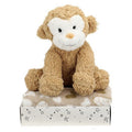 Toi-Toys Pluchen Aap + Knuffeldeken In Geschenkdoos Default Title Pluche Speelgoed Joy&Bloom