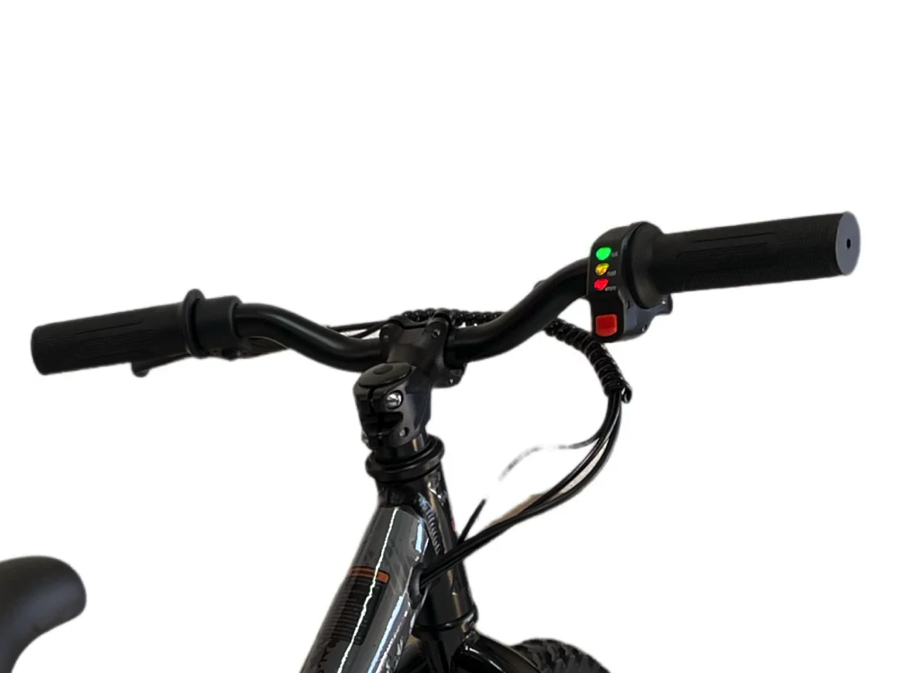 24 Volt Elektrische Balance Bike Met 16 Inch Wielen, Elektrische Motor - Zwart Motor Joy&Bloom