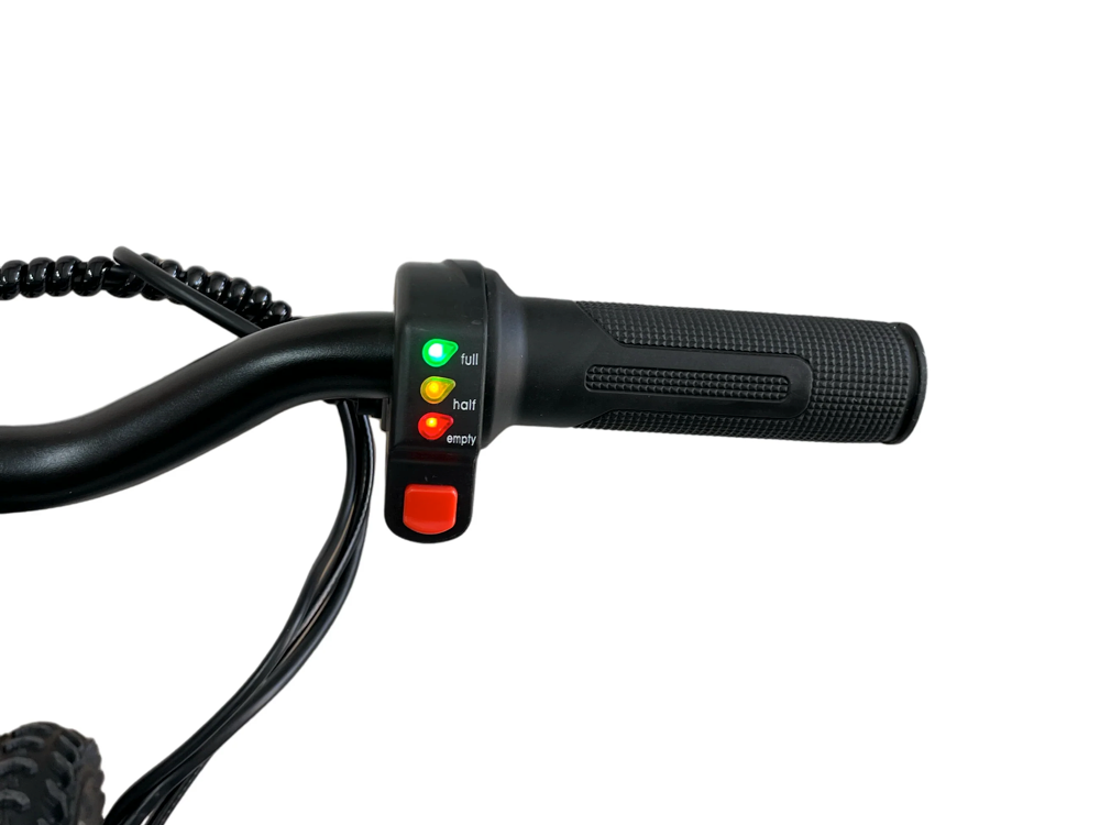 24 Volt Elektrische Balance Bike Met 16 Inch Wielen, Elektrische Motor - Zwart Motor Joy&Bloom