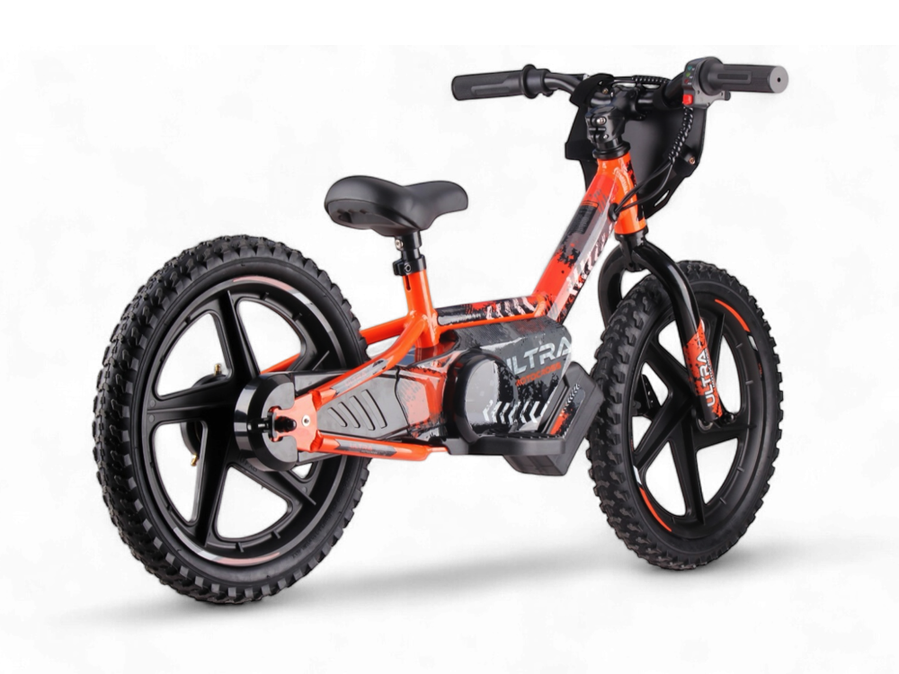 24 Volt Elektrische Balance Bike Met 16 Inch Wielen, Elektrische Motor - Oranje Motor Joy&Bloom