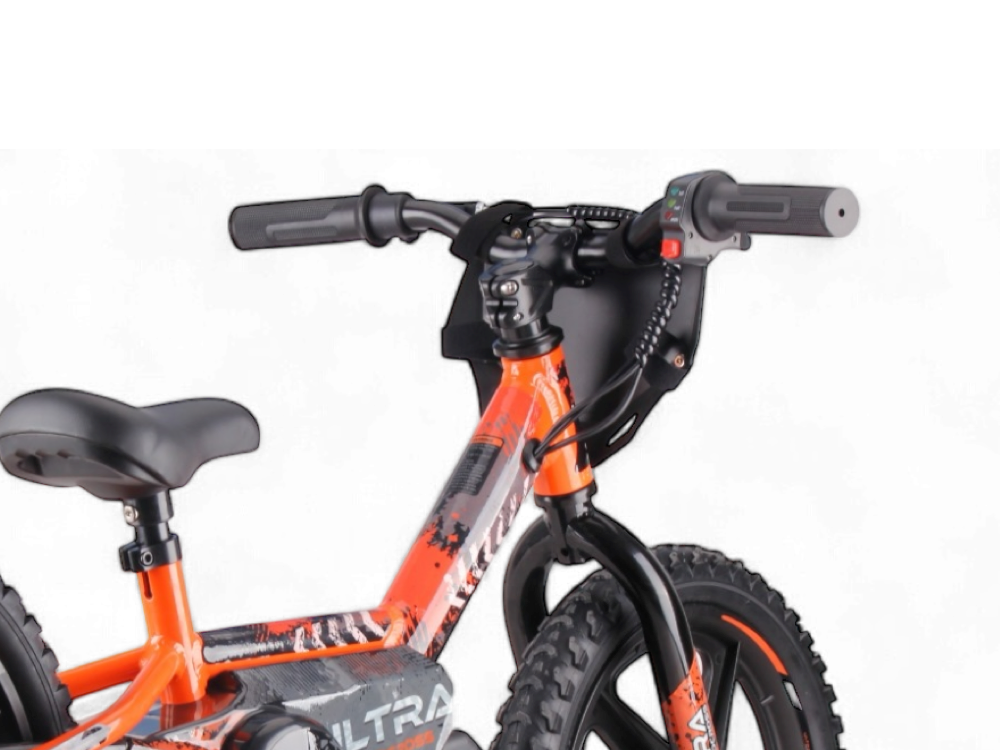 24 Volt Elektrische Balance Bike Met 16 Inch Wielen, Elektrische Motor - Oranje Motor Joy&Bloom