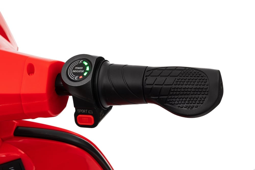24 Volt Lithium Elektrische Kinder Scooter Met 350 Watt Aandrijving Motor Joy&Bloom